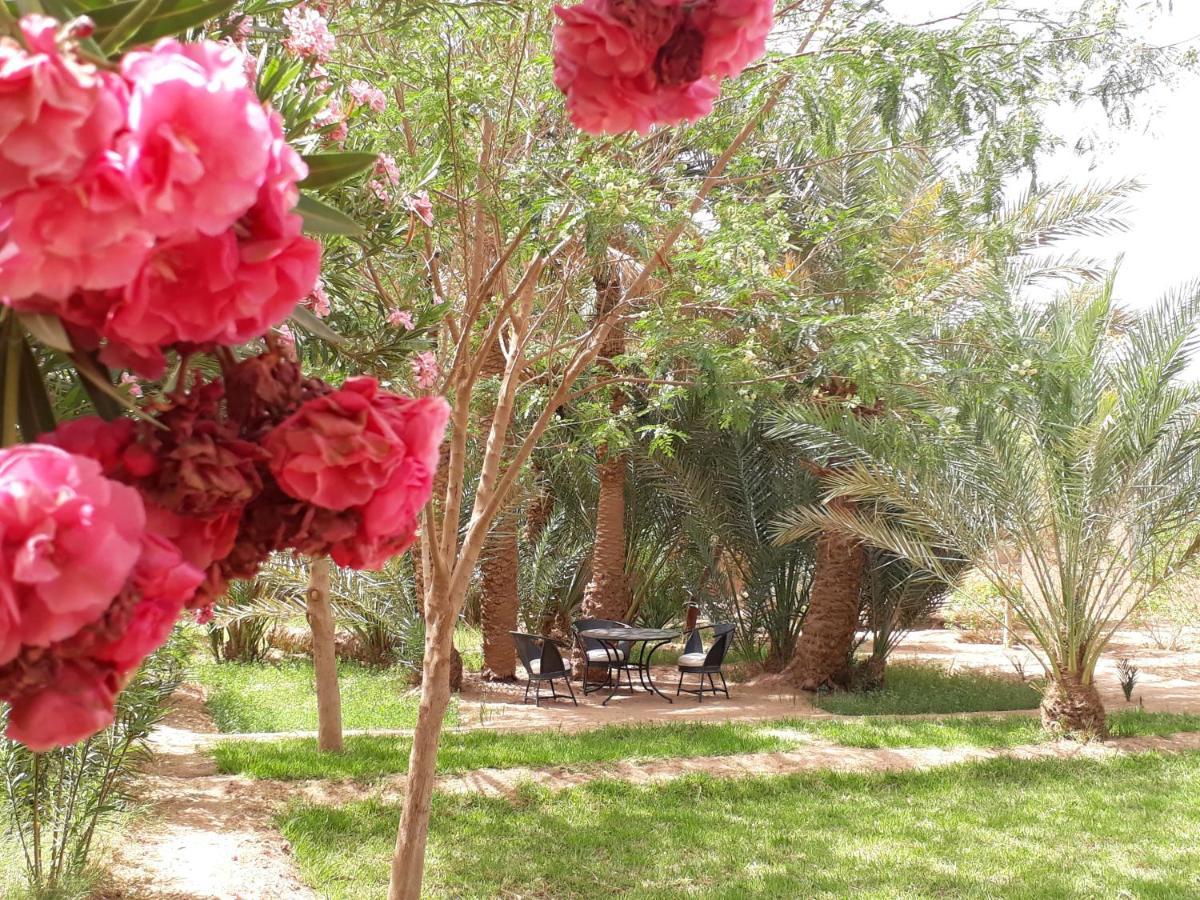 Dar Paru Bed and Breakfast M'Hamid Exteriör bild