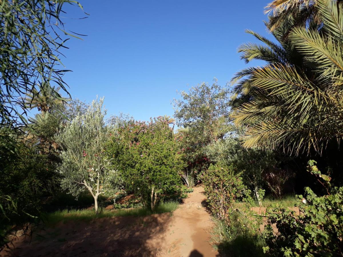 Dar Paru Bed and Breakfast M'Hamid Exteriör bild