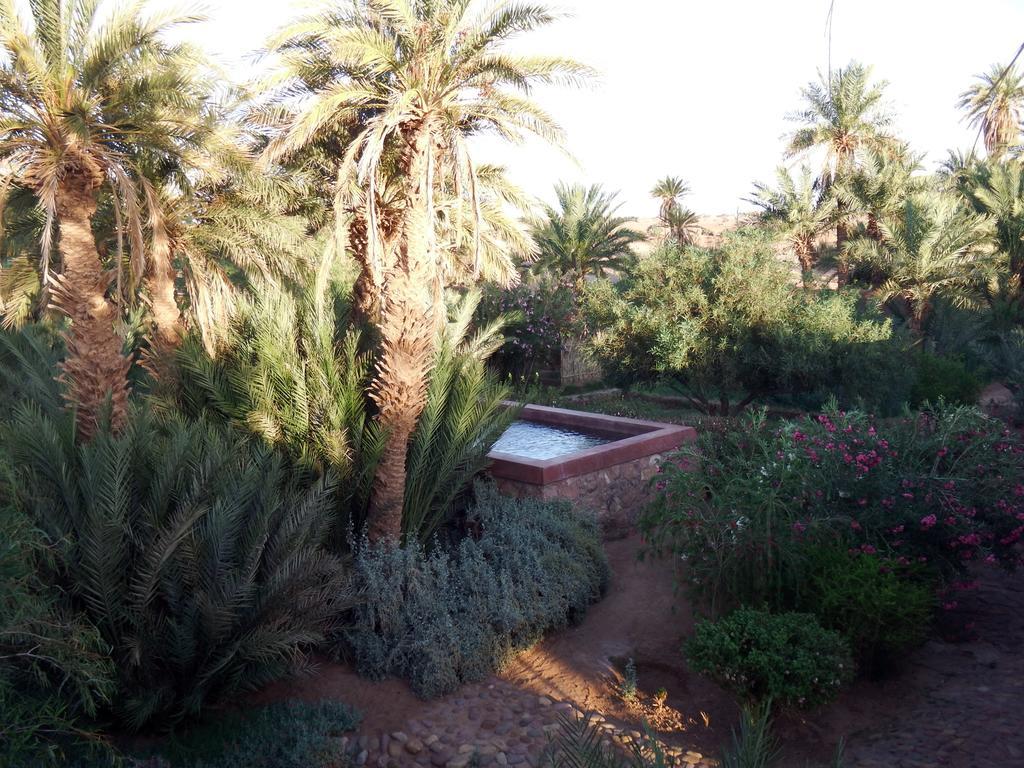 Dar Paru Bed and Breakfast M'Hamid Exteriör bild