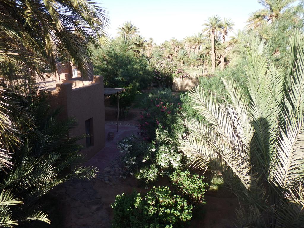 Dar Paru Bed and Breakfast M'Hamid Exteriör bild