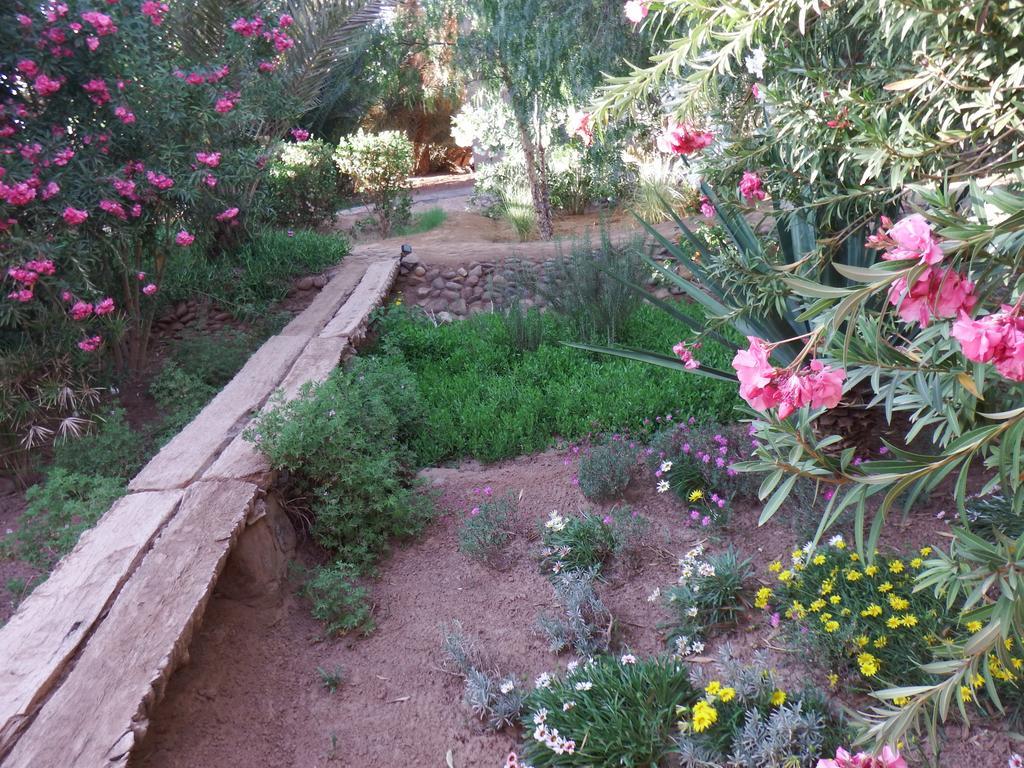 Dar Paru Bed and Breakfast M'Hamid Exteriör bild