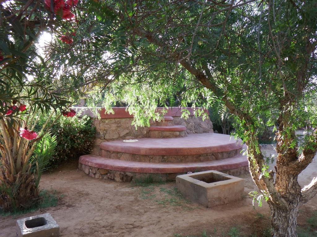 Dar Paru Bed and Breakfast M'Hamid Exteriör bild