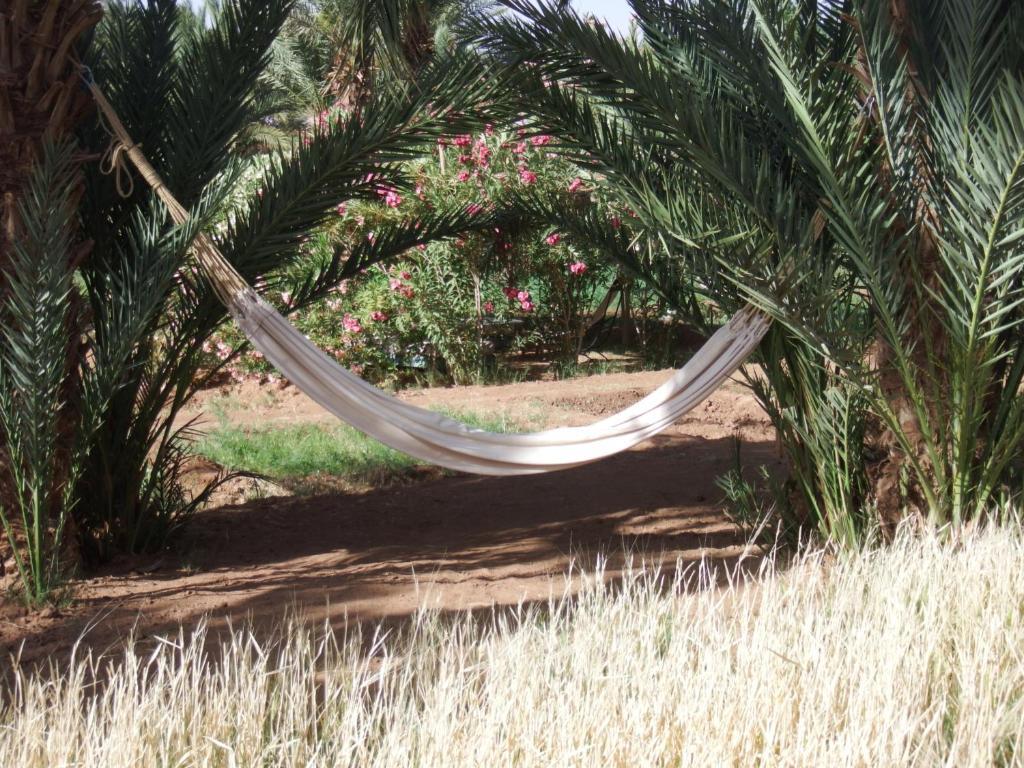 Dar Paru Bed and Breakfast M'Hamid Exteriör bild
