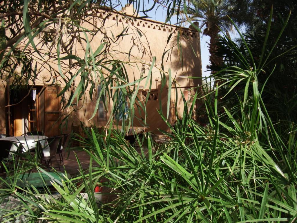 Dar Paru Bed and Breakfast M'Hamid Exteriör bild